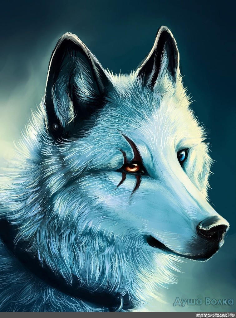 Share in Pinterest. wolf fantasy, wolf avatar, photo for VC wolves/Meme. 