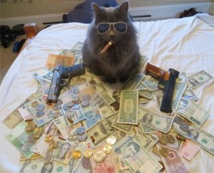 Создать мем: кот с деньгами и пистолетом, кот с деньгами мем, деньги
