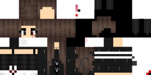 Create meme: skins, hd skins, skins for minecraft for girls