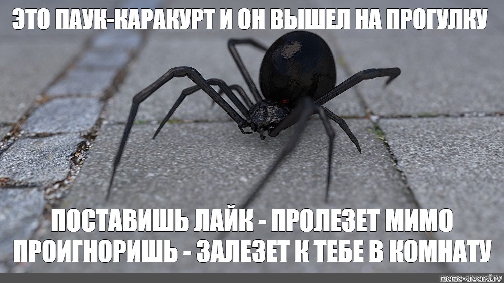Meme: "это паук-каракурт и он вышел на прогулку поставишь лайк - проле...