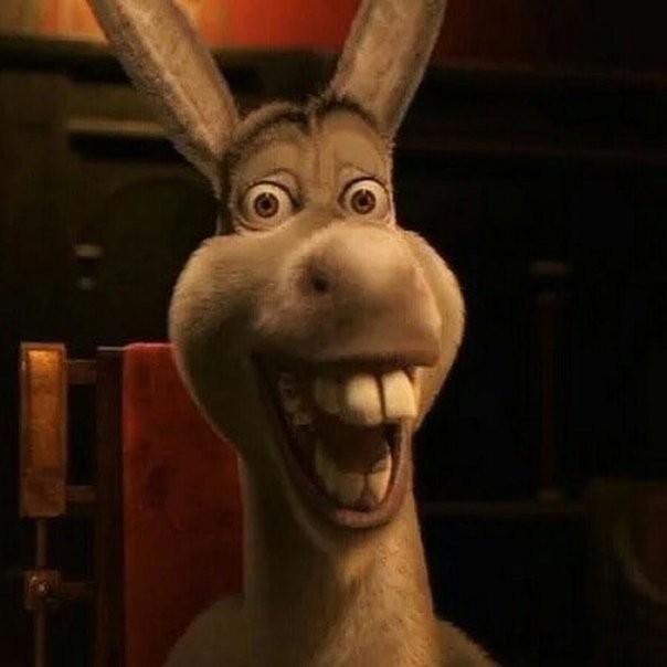 Create meme: donkey from shrek meme, donkey from Shrek , Shrek 