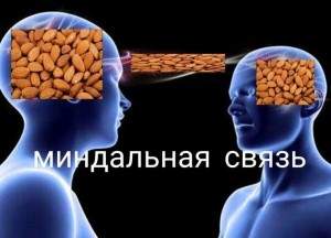 Создать мем: мем мозг, ментальная связь мем, миндальная связь