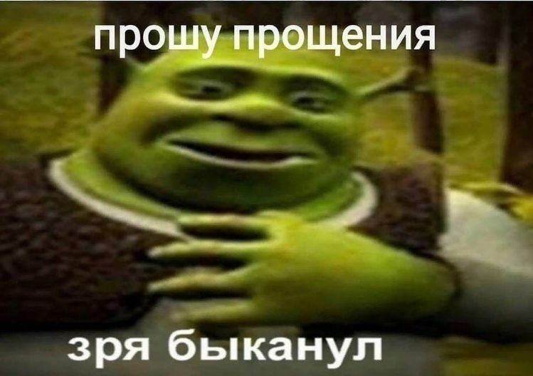 Create meme: shrek sorry bull, Shrek meme was wasted, nothing bikanel Shrek