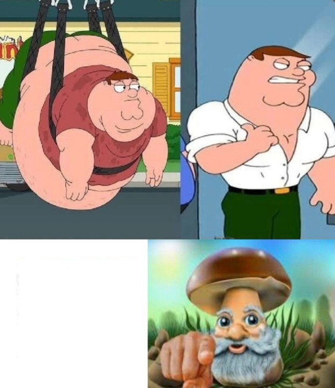 Create meme: Peter Griffin , family guy chris, meme family guy 