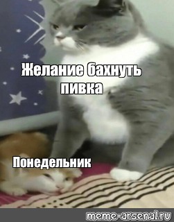 Создать мем: null