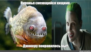 Create meme: fish, Fish, the piranha fish