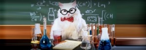 Create meme: chemistry, chemist, cat chemist