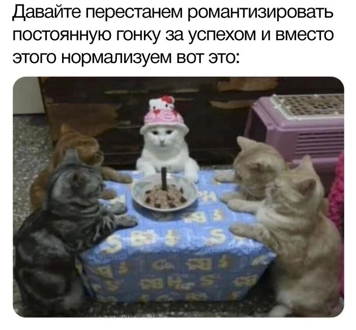 Create meme: birthday cat, cats at the table birthday, cake with a cat