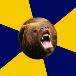 Создать мем: глупая обезьяна, grizzly bear, bear