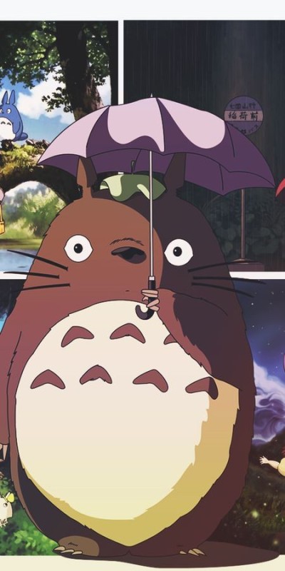 Create meme: my neighbor totoro, my neighbor totoro anime