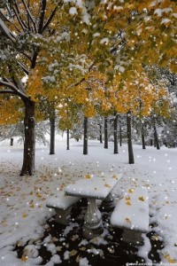 Create meme: the first snow, autumn winter