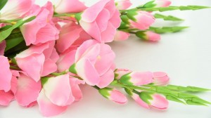 Создать мем: цветы тюльпаны, букет розовых тюльпанов, красивые цветы