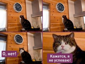 Create meme: memes with cats, meme cat time, MEM time cat clock