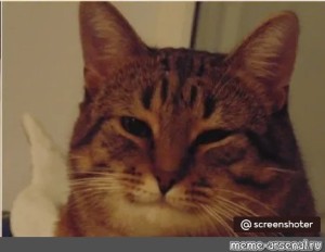 Create meme: good cat meme, cat , smiling cat meme