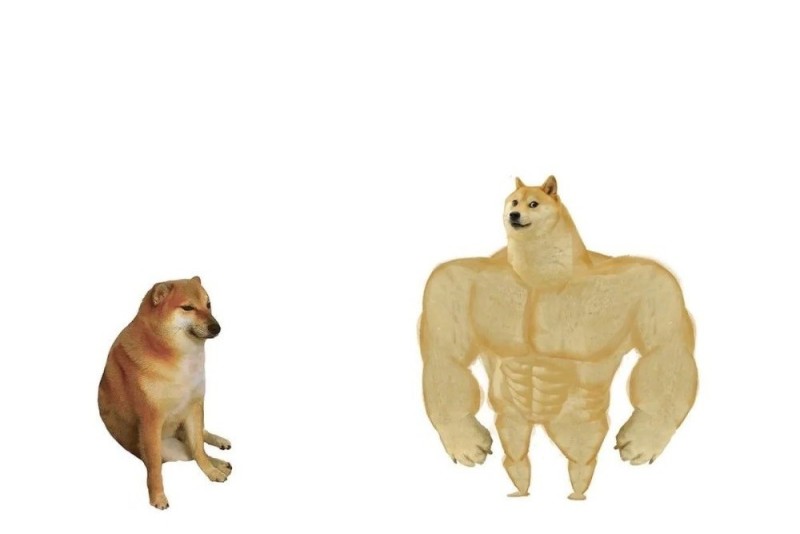 Create meme: the pumped-up dog from memes, inflated dog meme, dog Jock