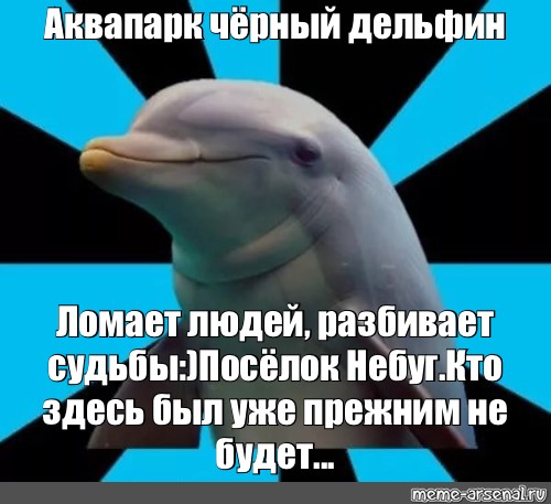 Песня про черный дельфин