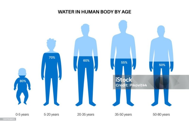 Create meme: water in the human body, the composition of human body water, the water in the body