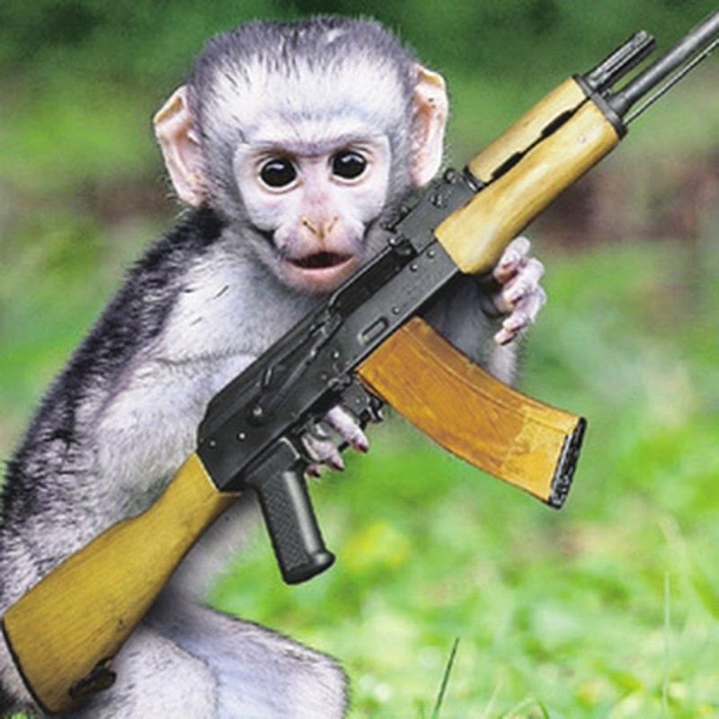 Create meme: a monkey with a machine gun, hovsepyan, monkey 