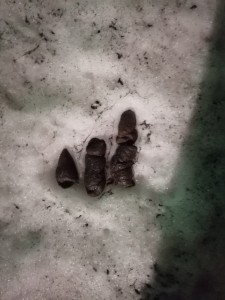 Create meme: footprints in the concrete, trail