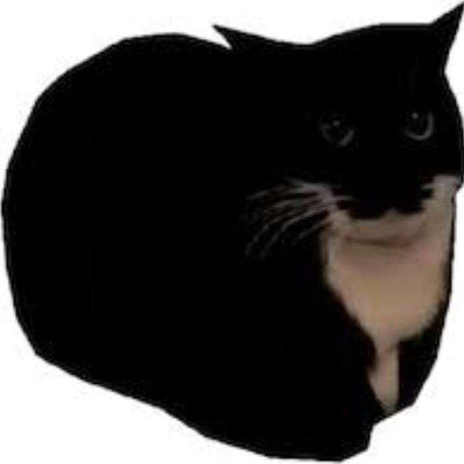 Создать мем: черный кот мем, кошка, кот