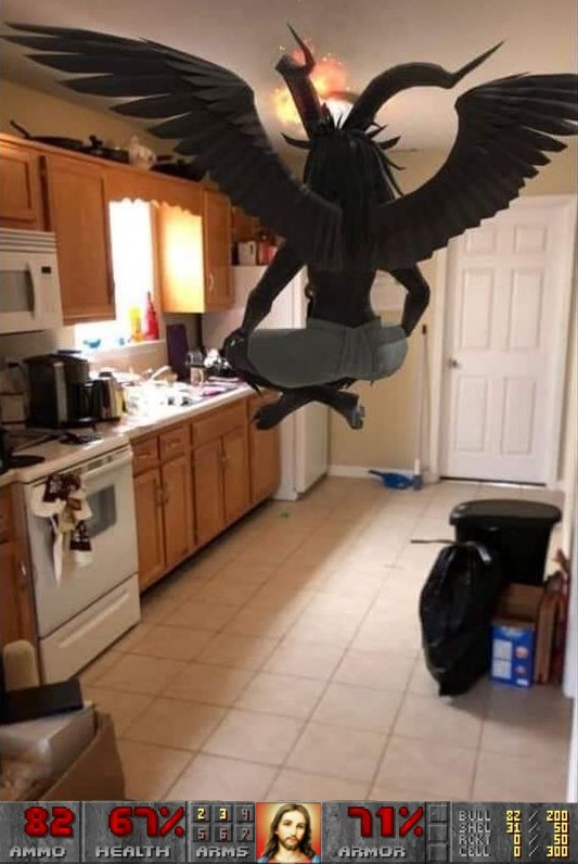 Create meme: interior, the crow costume, stuffed white-fronted goose- "flying kite"