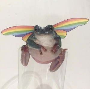 Создать мем: frog, жабка с крылышками радужными, лягушка с короной