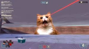 Создать мем: котики, кот, laser death cat