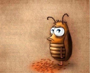 Create meme: a sad cockroach, cute funny cockroach picture, cockroaches funny pictures