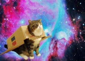 Создать мем: милый котик, котэ, кот в космосе мем