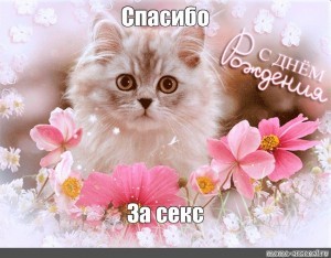 Создать мем: котик в цветах, открытка милый котик, кот в цветах