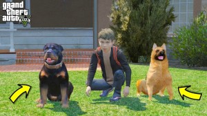 Create meme: dog, German shepherd, Rottweiler
