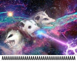 Создать мем: животные, in space, волк galaxy