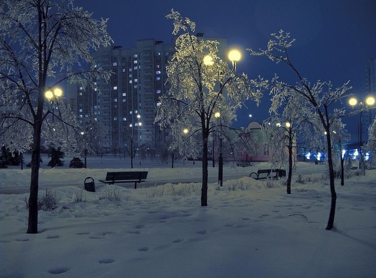 Create meme: winter night, Winter in the city at night, night winter city