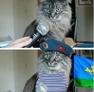 Создать мем: мем кот с микрофоном, кот с микрофоном, вы осознаете
