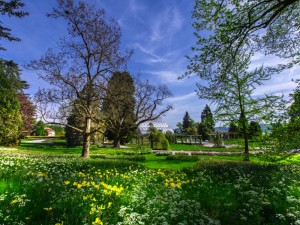Create meme: Pavlovsk Park photos summer, nature spring, English garden Munich