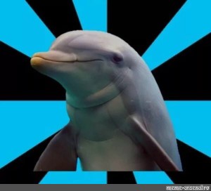 Создать мем: dolphin, дельфин, черный дельфин