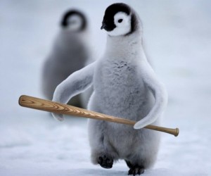 Создать мем: emperor penguin, мем пингвин, Пингвин  Гопник