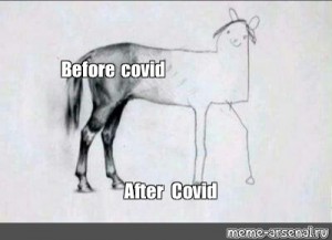 Featured image of post Horse Drawing Meme Covid Here presented 62 meme drawing images for free to download print or share