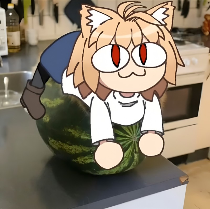 Create meme: dvach nonsense, neco arc, cat on a watermelon