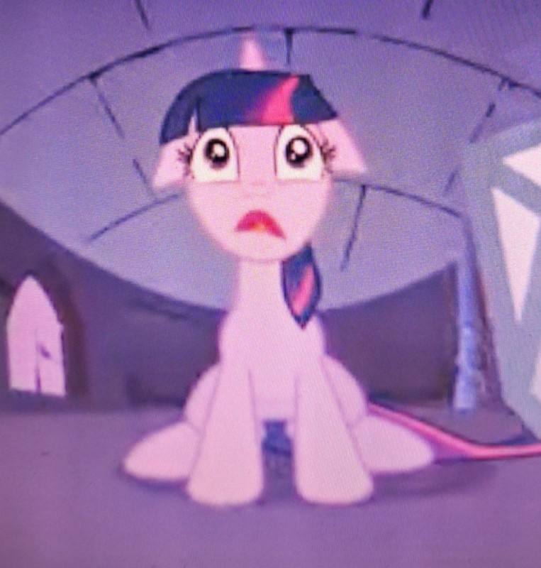 Create meme: twilight sparkle , pony clone twilight sparkle, princess twilight sparkle
