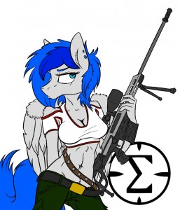 Create meme: syntax, my little pony, MLP sniper