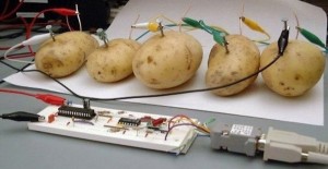 Создать мем: электрическая картошка, электричество из картофеля, электричество из картошки