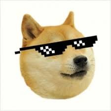 Create meme: meme dogs , dogs in pixel glasses, thug life 
