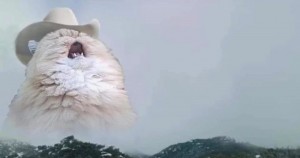 Создать мем: кот орет в горах мем, орущий кот, котик пушистый