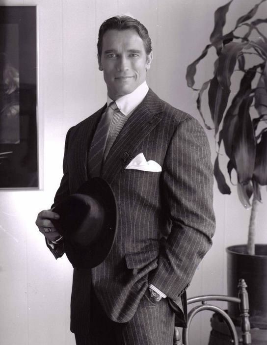 Create meme: arnold schwarzenegger poster, Patrick Schwarzenegger, Arnold Schwarzenegger in a suit
