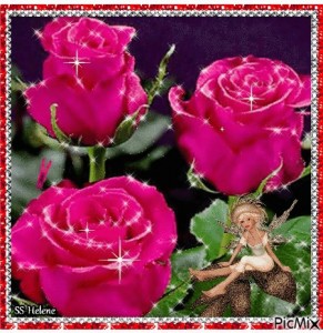 Create meme: very beautiful three roses are alive, roses, pink roses