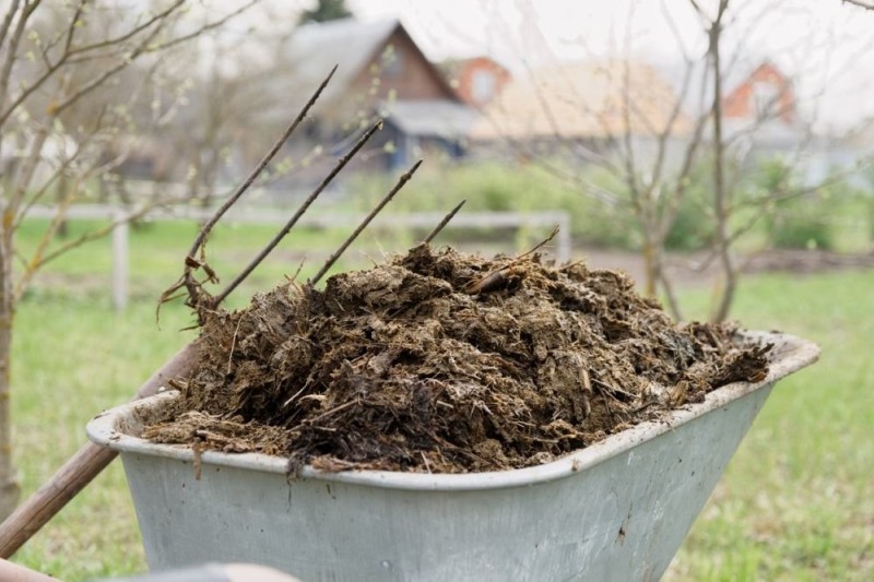 Create meme: manure humus, manure , what is humus