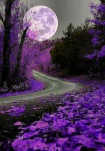 Create meme: beautiful photo of purple color, pictures of the forest beautiful purple, beautiful scenery in purple tones