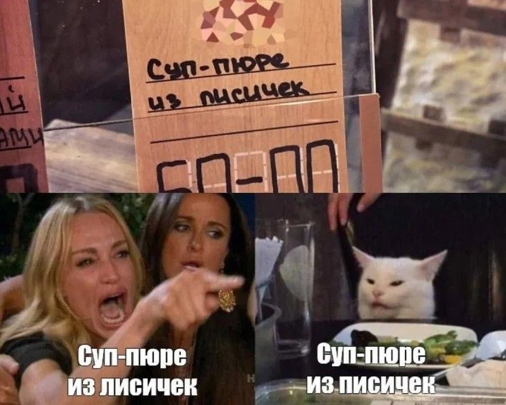 Создать мем: мемы с котами, кот мем, кот и две девушки мем