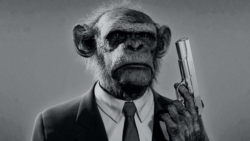 Create meme: chupapi munyani, a monkey with a gun, people 